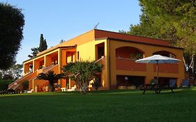 Sole Del Mediterraneo
